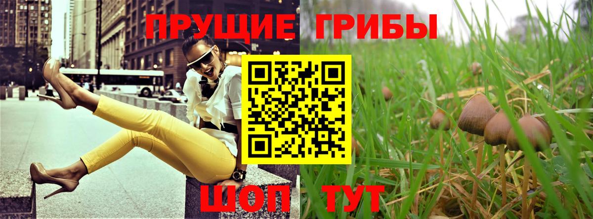 Галлюциногенные грибы прущие грибы  Вход с VPN  Псилоцибиновые грибы мицелий  Благодарный 