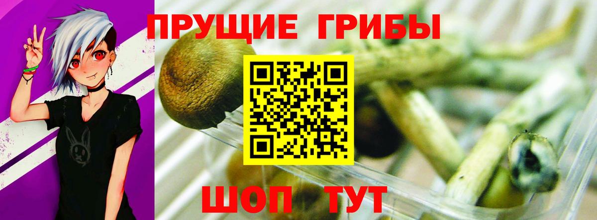 Псилоцибиновые грибы MAGIC MUSHROOMS Благодарный